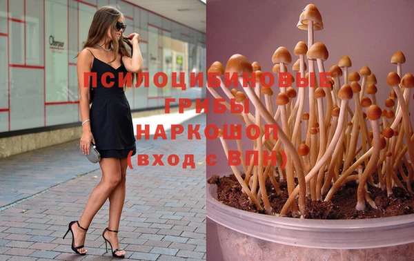 экстази Осташков