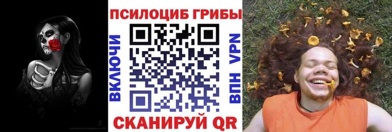 как найти   ссылка на мегу зеркало  Псилоцибиновые грибы Magic Shrooms  Волжск 